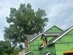 Roof Repair in Danbury