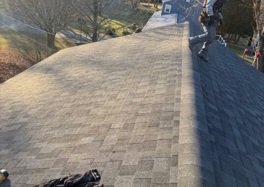 Leo Brothers Roofing